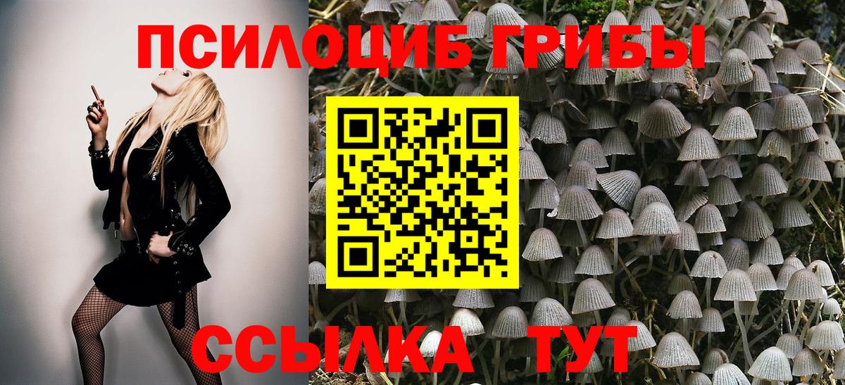 Псков  Галлюциногенные грибы ЛСД  Вход с VPN 